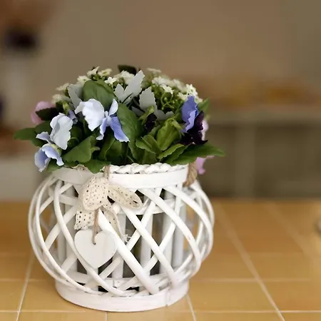 Ensemble: Casa Con Giardino Procida